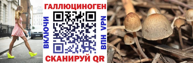Псилоцибиновые грибы мухоморы  МЕГА вход  Кореновск  цена наркотик 